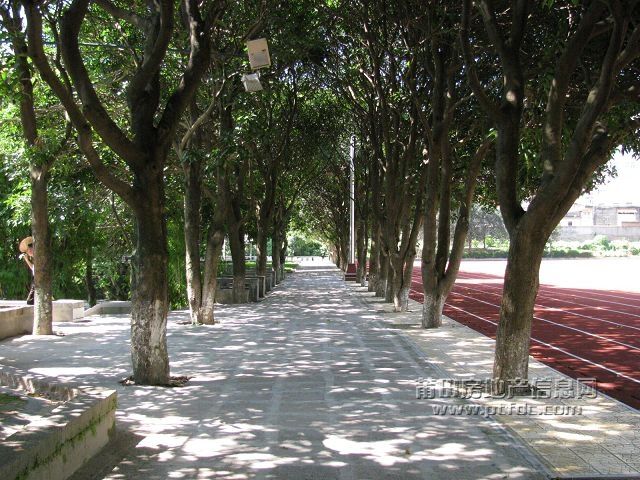 税校 (66).jpg