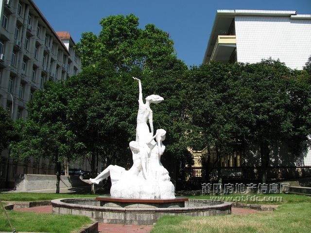 税校 (16).jpg