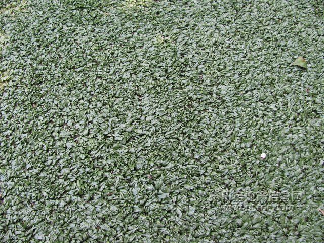 税校 (13).jpg