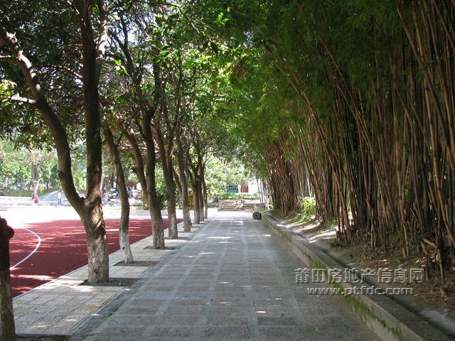 税校 (65).jpg