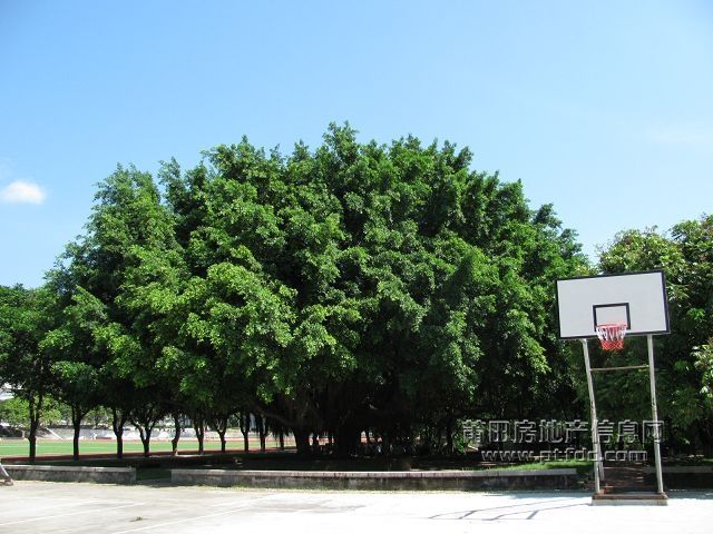 税校 (51).jpg