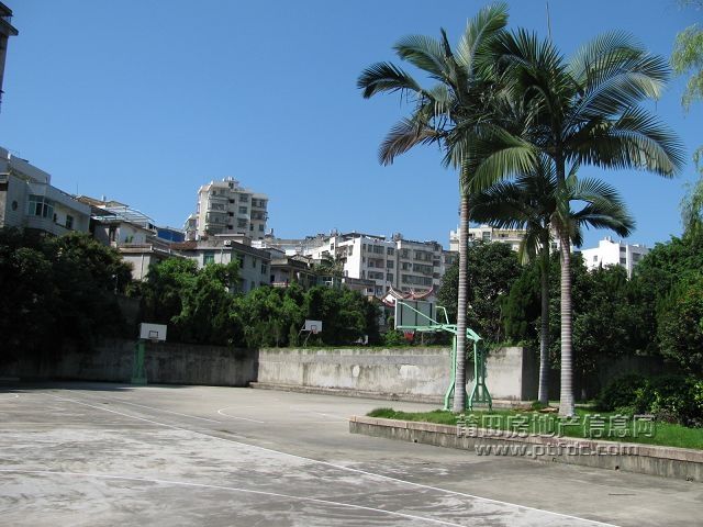 税校 (43).jpg
