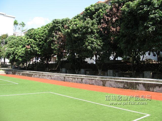 税校 (15).jpg