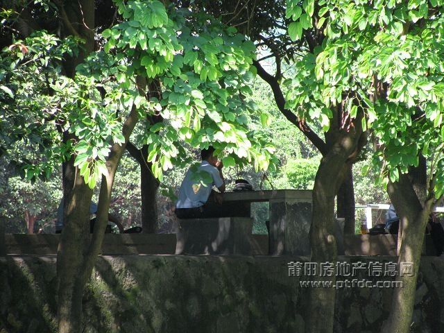 税校 (39).jpg