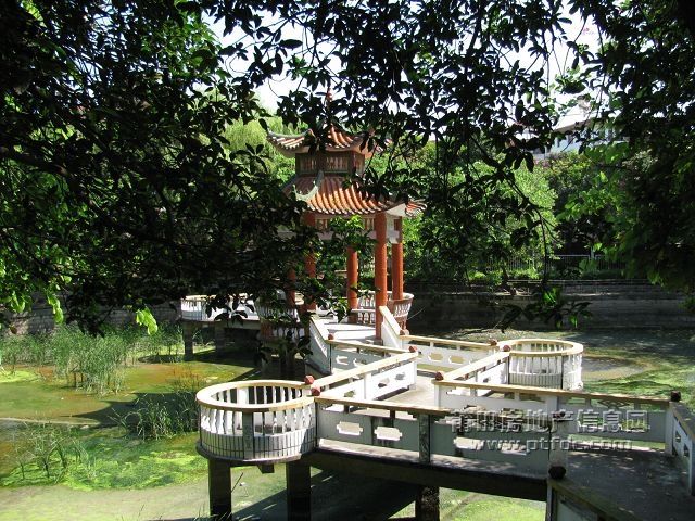 税校 (48).jpg