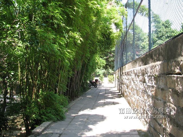 税校 (35).jpg