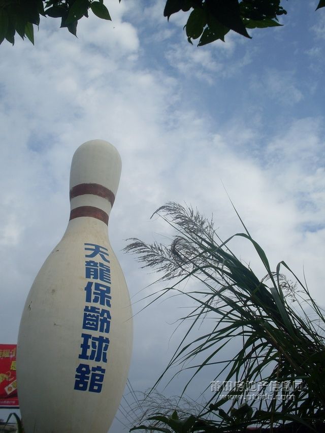 天龙_08.JPG
