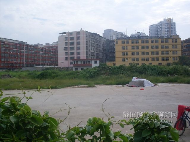 天龙_16.JPG