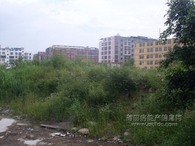 天龙_04.JPG