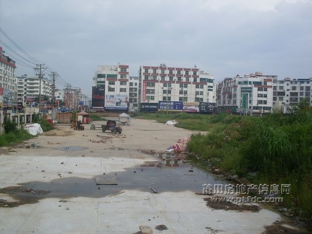 天龙_05.JPG