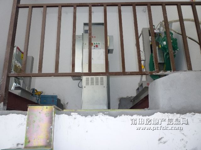 P1010417.JPG
