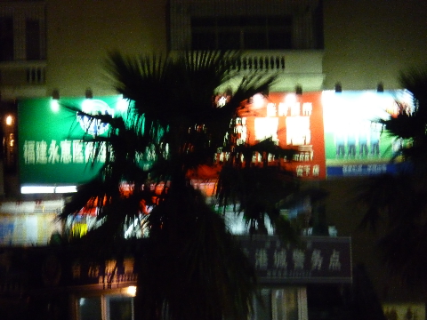 P1010496.JPG