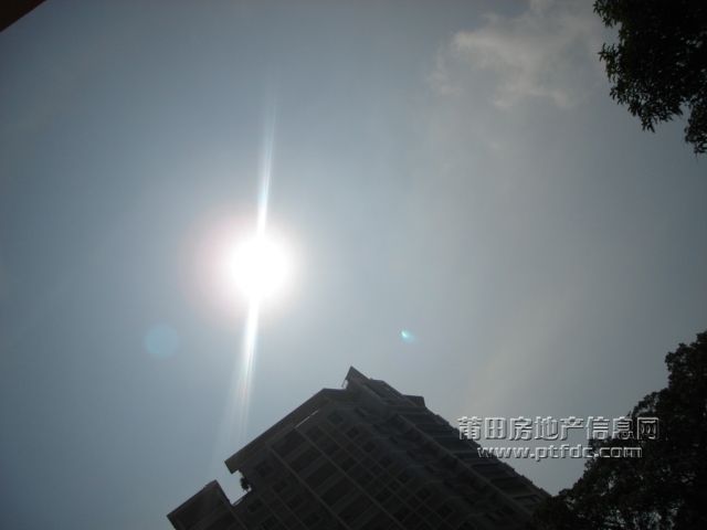 DSC07145.JPG