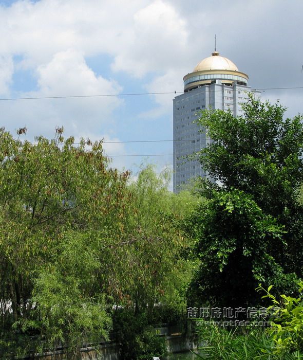 荔枝、 (3).jpg