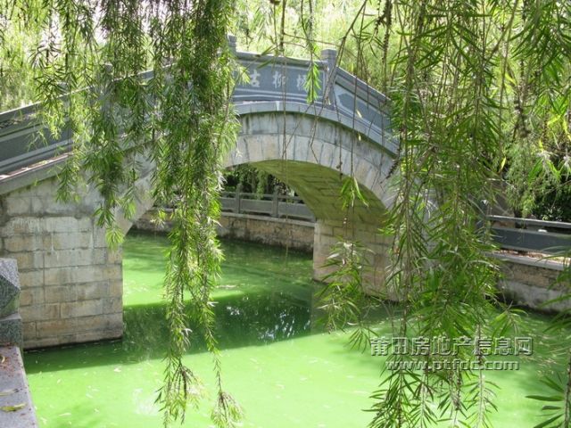 荔枝、 (7).jpg