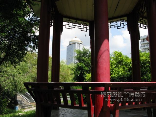 荔枝、 (9).jpg