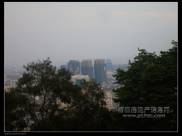 01.JPG