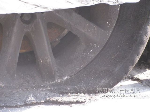 照片 022.jpg