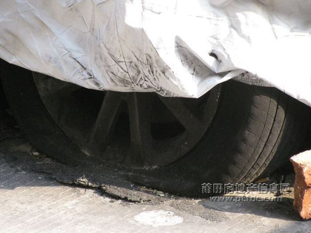 照片 026.jpg