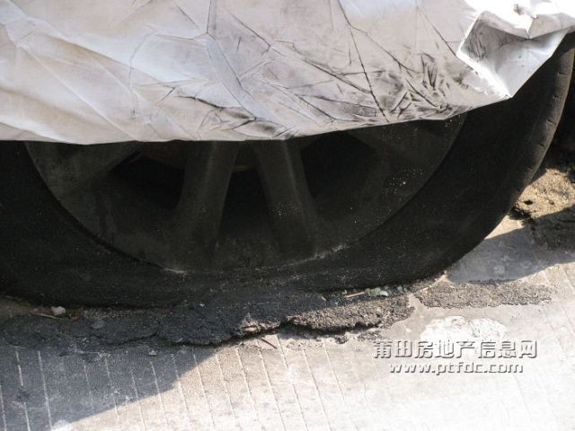 照片 024.jpg
