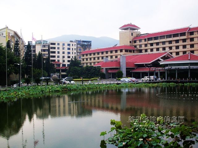 鱼戏42.jpg