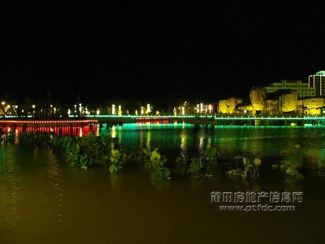 秀屿区政广场 (54).jpg