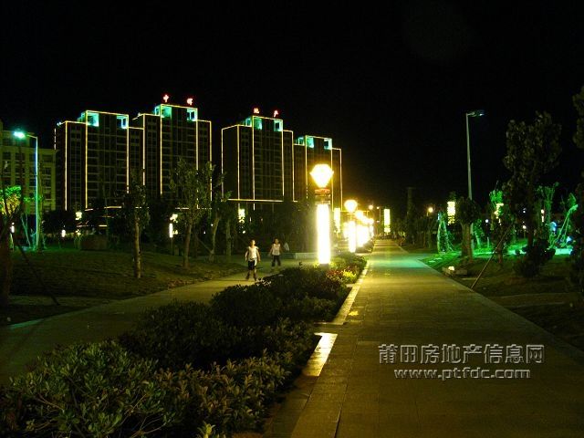 秀屿区政广场 (45).jpg