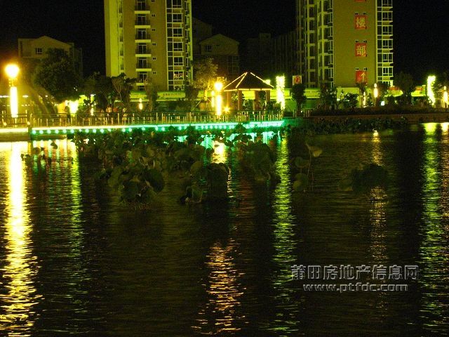 秀屿区政广场 (6).jpg
