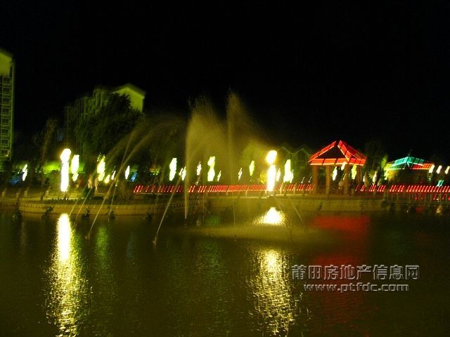 秀屿区政广场 (52).jpg