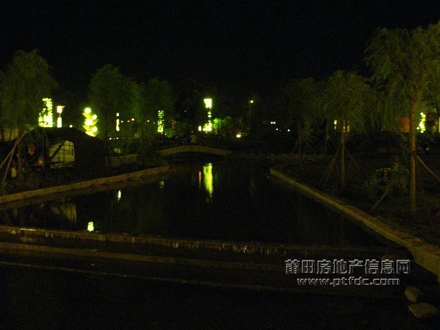 秀屿区政广场 (30).jpg