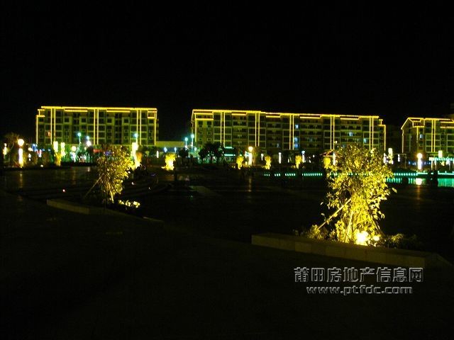 秀屿区政广场 (33).jpg