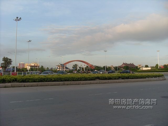 SL371186.JPG