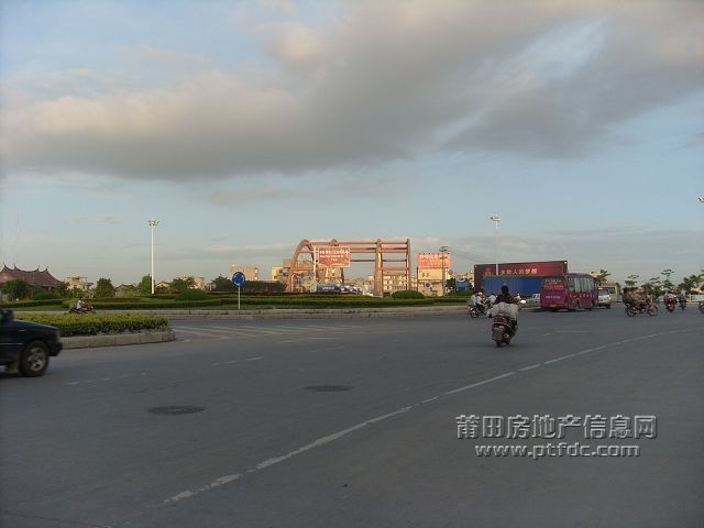 SL371180.JPG