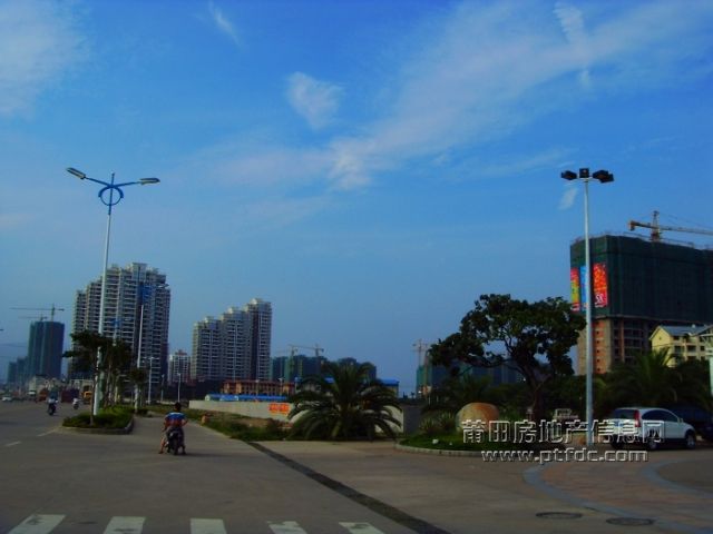 SDC13696.jpg