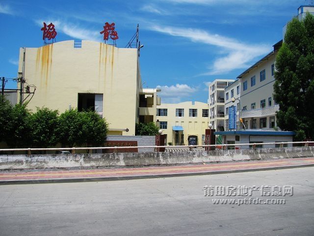 岳公桥 (17).jpg