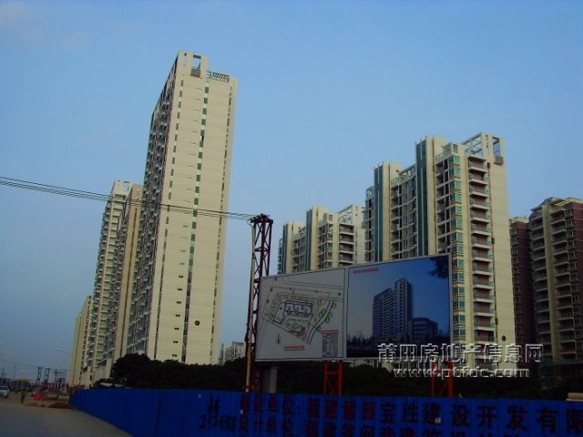 SDC13743.jpg