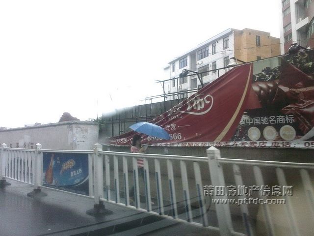 20090809160824.jpg