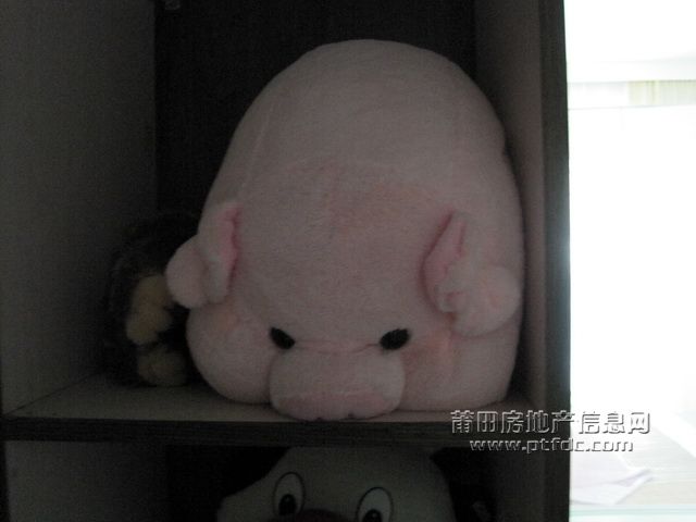 我家_18.jpg