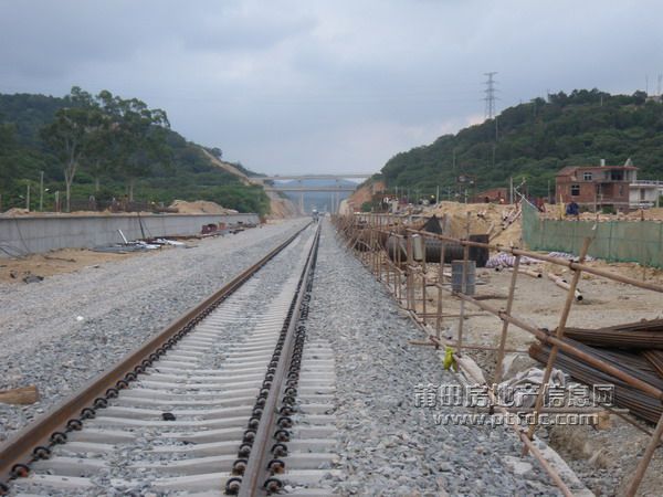 20090804.jpg