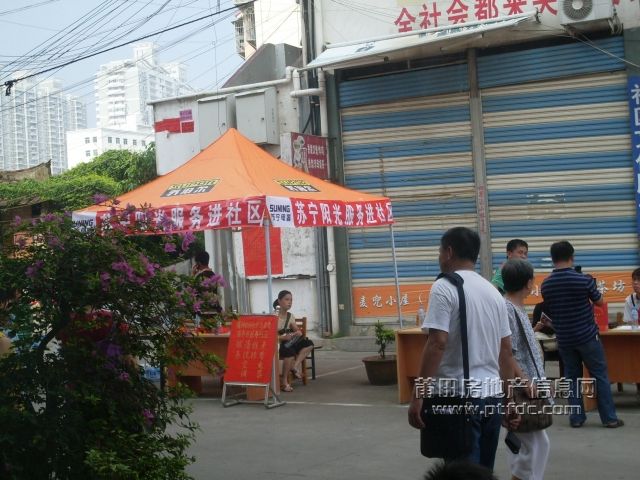 06.jpg