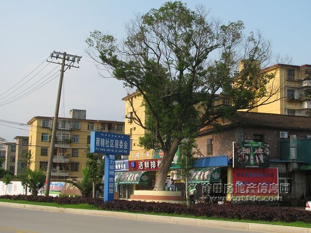 莆糖社区.jpg