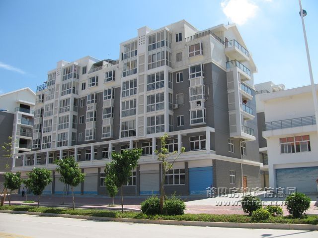 笏石 (11).jpg