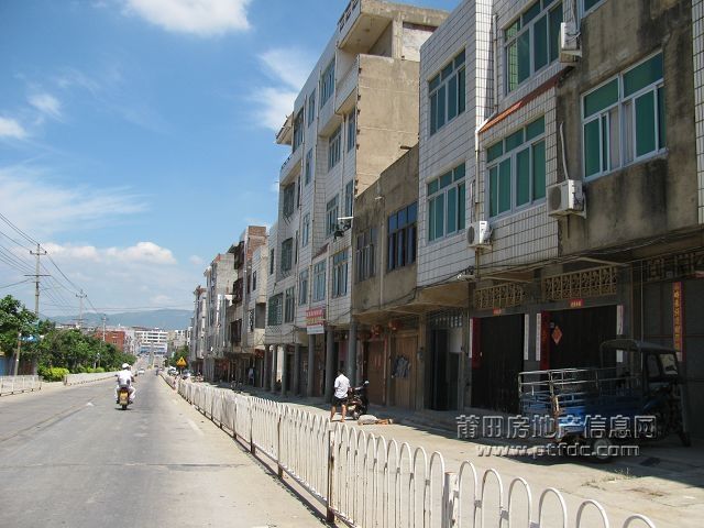 笏石 (16).jpg
