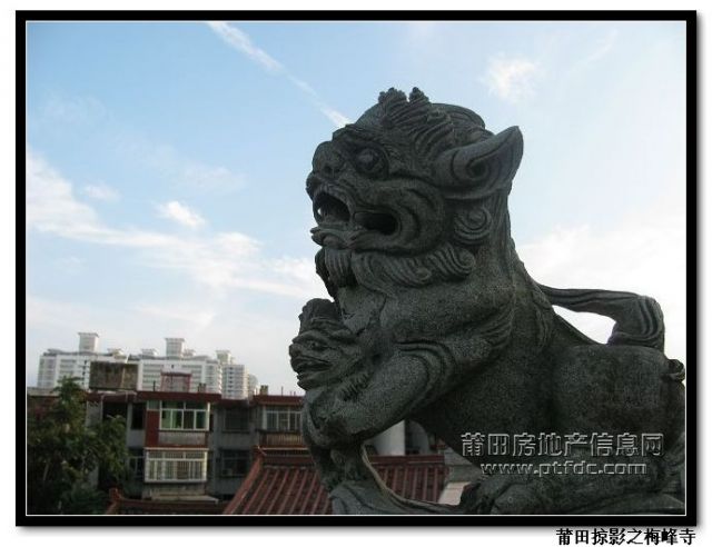梅峰寺 (38).jpg