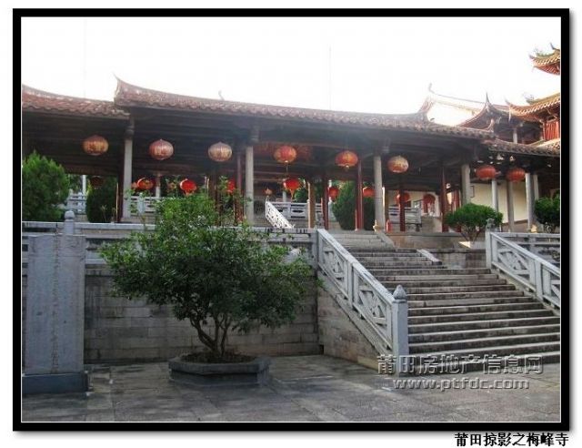 梅峰寺 (9).jpg