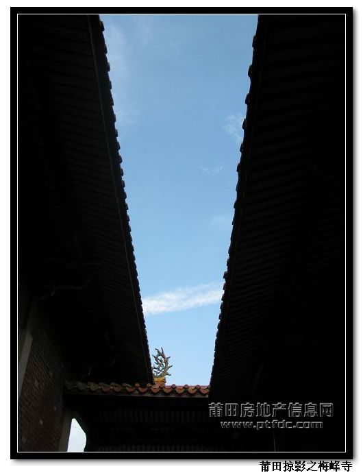 梅峰寺 (44).jpg