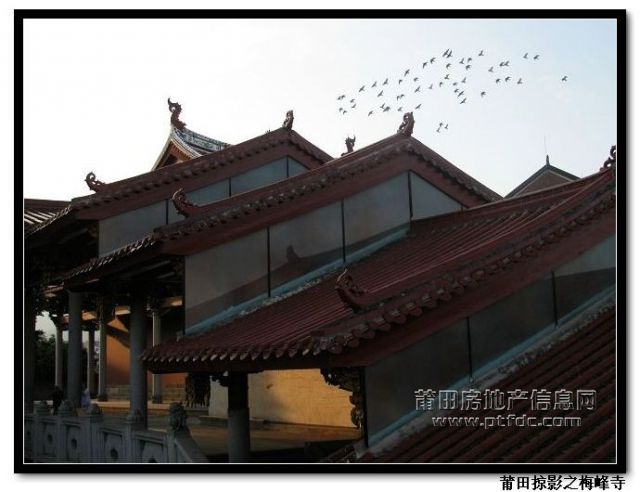 梅峰寺 (35).jpg