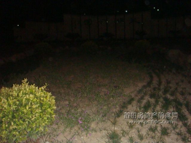 DSC01919.JPG