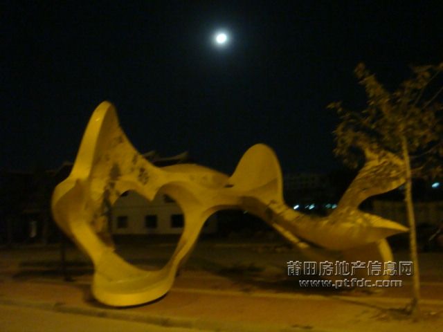 DSC01916.JPG