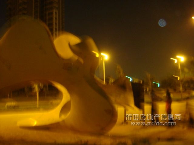 DSC01901.JPG